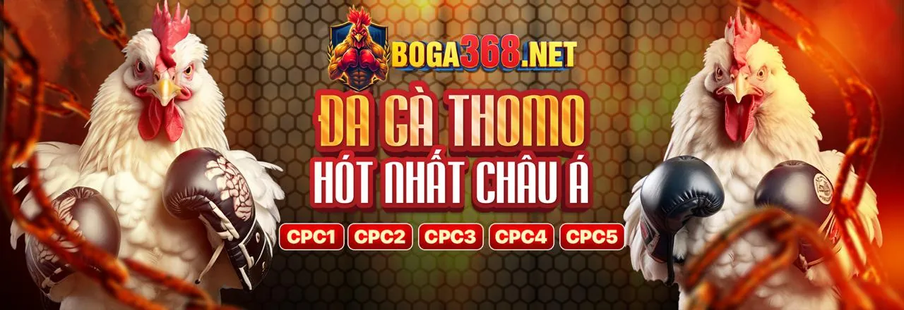 Banner quảng cáo khuyến mãi cá cược thể thao win58 casino